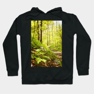 Come with me... Hoodie